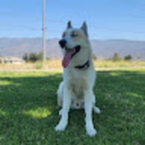 Meet your Posher, Moises